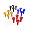 DBK Special Parts (Ducabike) Windshield Screw Kit for the BMW R 1300 GS